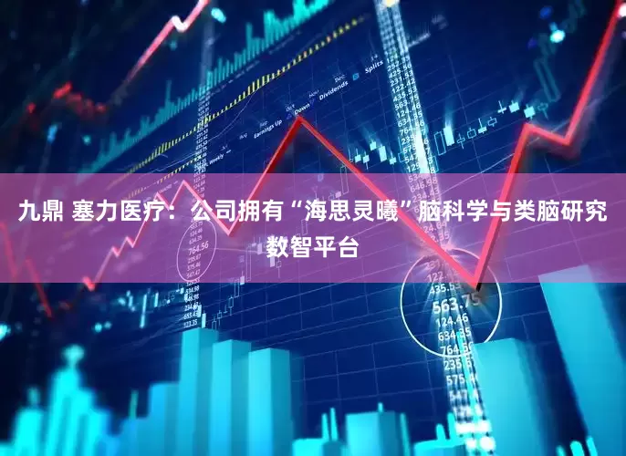 九鼎 塞力医疗：公司拥有“海思灵曦”脑科学与类脑研究数智平台