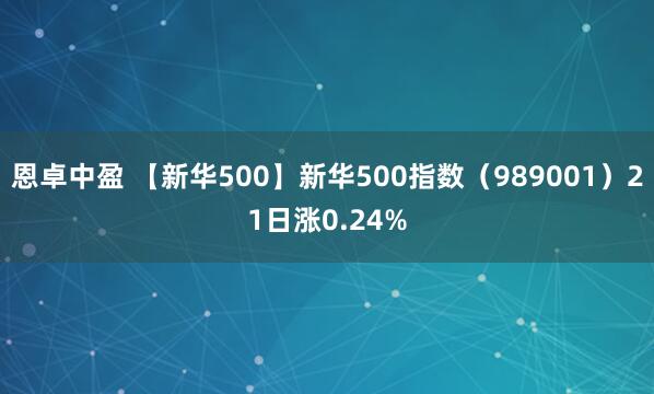 恩卓中盈 【新华500】新华500指数（989001）21日涨0.24%